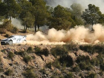 {{brizy_dc_image_alt entityId=