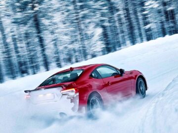 {{brizy_dc_image_alt entityId=